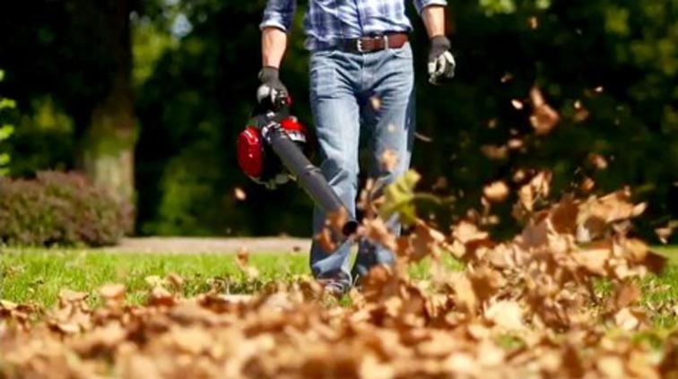 LEAF REMOVAL SERVICES