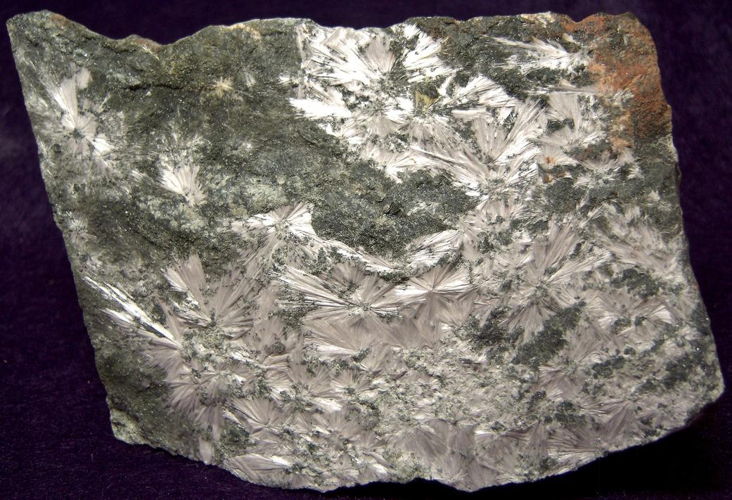 fluorescent phosphorescent Xonotlite, Magnetite, Serpentine, Hunting Hill quarry (Rockville Crushed Stone Quarry; Travilah Quarry; Rockville Quarry; Bardon Stone Quarry; Aggregate Industries Quarry), Rockville, Montgomery County, Maryland, USA, ex Fred J. Parker