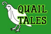Qual Tales - link to ticketing