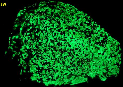 fluorescent sw lw willemite, franklinite, kutnahorite, kutnohorite, Sterling Mine, Sterling Hill, Ogdensburg, Franklin Mining District, Sussex County, New Jersey