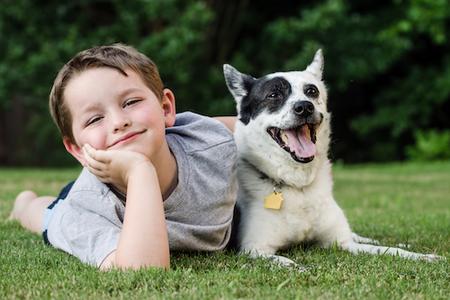 boy and dog