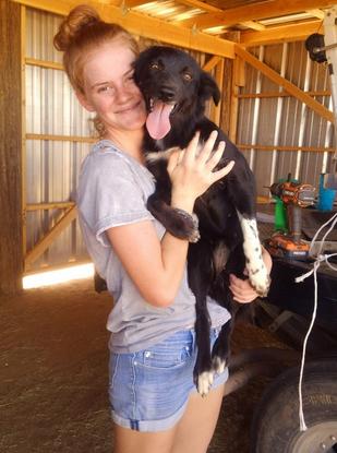 best family dog