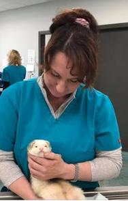 Dr. Ginger Langan with Ferret