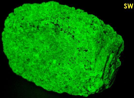 SW LW fluorescing WILLEMITE, FRANKLINITE - Franklin Mine, Franklin, Franklin Mining District, Sussex County, New Jersey, USA