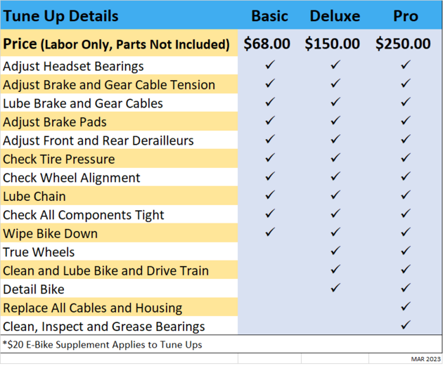 Bike discount service price