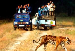 Hire Tempo Traveller Delhi to Jim Corbett, Rent a Tempo Traveller Delhi to Jim Corbett National Park, Book Minibus Delhi to Ramnagar Jim Corbett, Luxury Tempo Traveller Delhi to Corbett