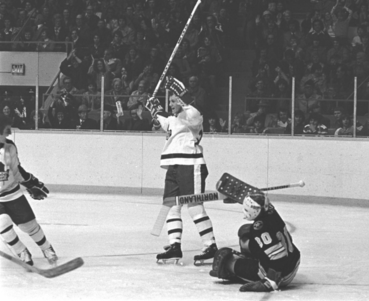 Third String Goalie: The History of Hockey in Houston