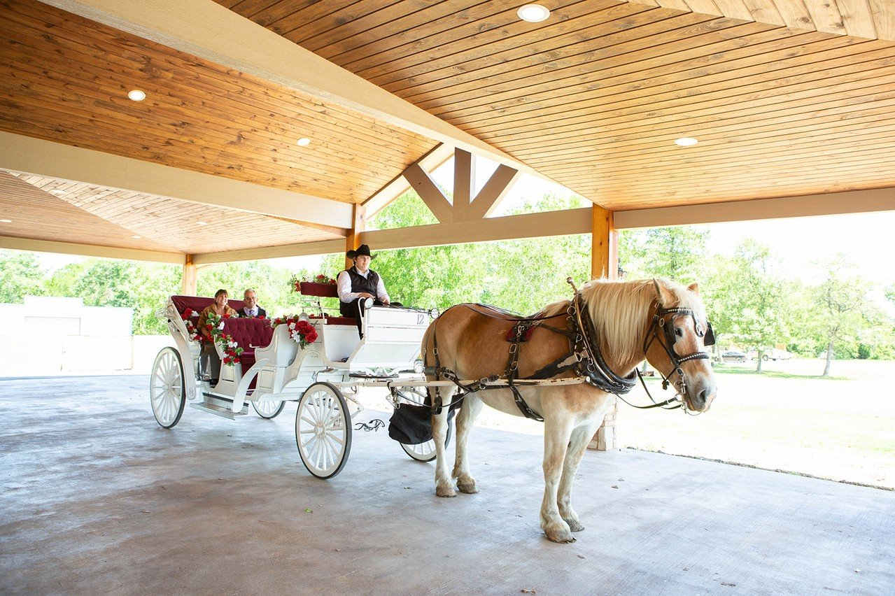 horse and carriage rental houston