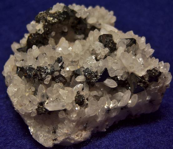 TETRAHEDRITE and QUARTZ - Cavnic (Kapnic; Kapnik), Maramureș Co., Romania