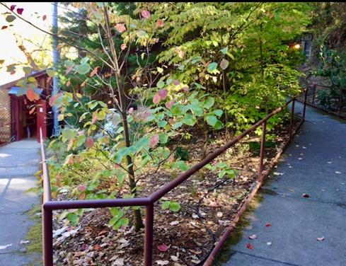 Gold Bug Park Gardens Designed and Cared for by Cindy Podsiadlo, Photo by Josette Johnson