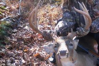 Kentucky trophy deer