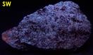 fluorescing MICROCLINE AMAZONITE feldspar with Mica - Franklin, Sussex Co., New Jersey