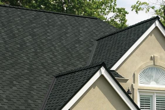 Roofing Contractor Services - Designer Roofing Shingles