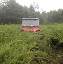 Kentucky food plot