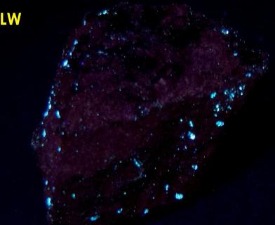 hydrocarbon mineral fluorescent IDRIALITE CURTISITE - Skaggs Springs Mine, Skaggs Springs, Warm Springs Dam, Coast Range, Sonoma County, California, USA