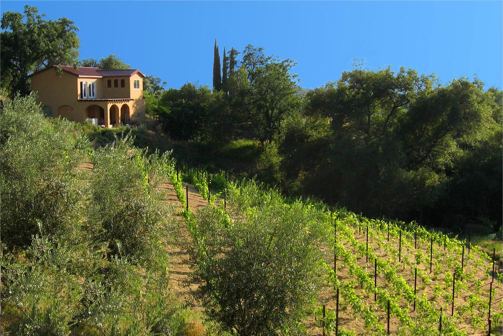 Panoramic photo of the winery and vineyards at Cristaldi Vineyards