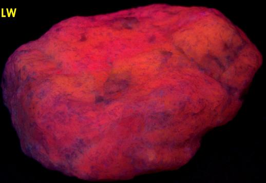 fluorescent CLINO-SUENOITE Manganocummingtonite and TREMOLITE - International Talc Company Mine No.8 (Reynolds Mine), Talcville, St. Lawrence County, New York, USA