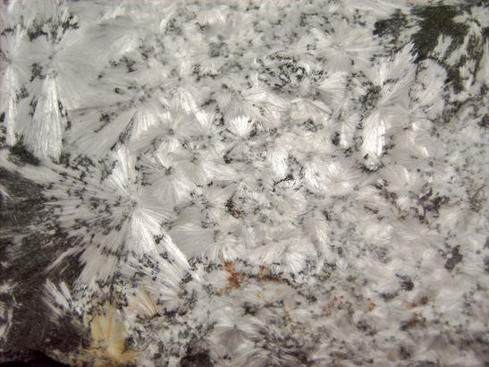 fluorescent phosphorescent Xonotlite, Magnetite, Serpentine, Hunting Hill quarry (Rockville Crushed Stone Quarry; Travilah Quarry; Rockville Quarry; Bardon Stone Quarry; Aggregate Industries Quarry), Rockville, Montgomery County, Maryland, USA, ex Fred J. Parker