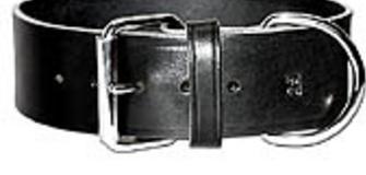 LATIGO COLLAR Comes in Black or Brown from size 10 to 24 inches