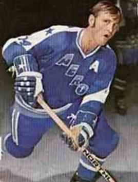 WHA 1972-73 All Star Game Bobby Hull 9 Blue Hockey Jersey — BORIZ
