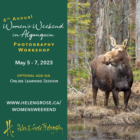 Women's Weekend in Algonquin Photography Workshop with Helen E Grose
