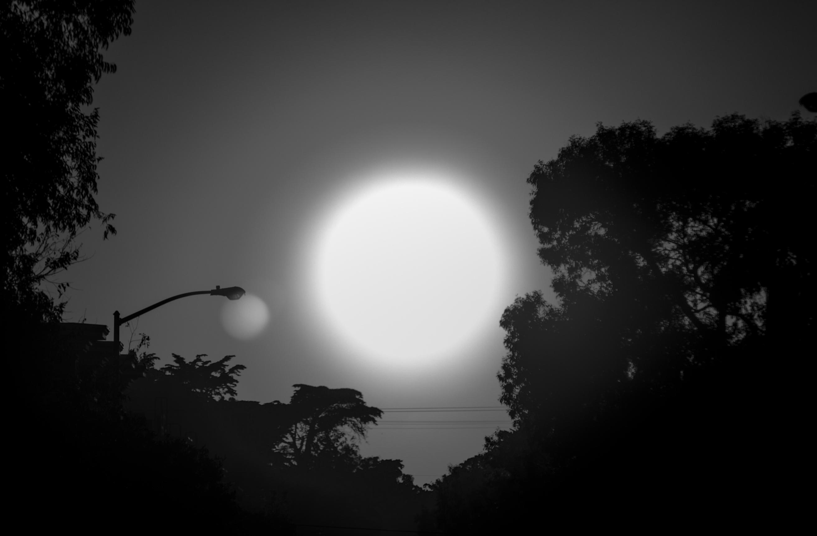 nature forest river landscape lifestyle adventure