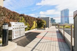 Roof common area with barbeque