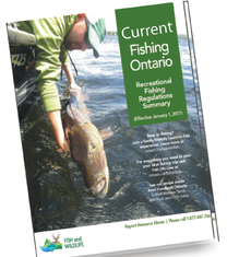 Recreational Fishing Guide and Regulations