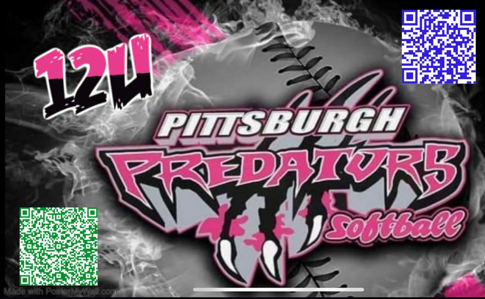 12U Santucci Pittsburgh Predators Team