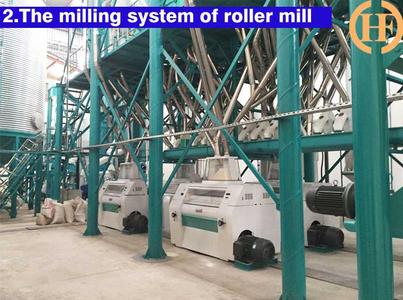 Automatic maize roller mill,complete maize milling line