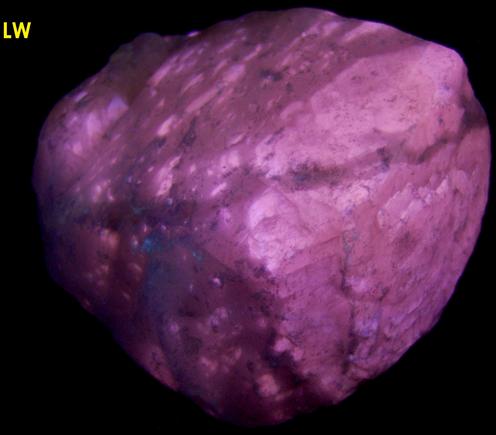 fluorescent phosphorescent Terlingua-type CALCITE - San Vicente Mine, Boquillas del Carmen, Mun. de Ocampo, Coahuila, Mexico - ex Bill Mattison "Glowing Rocks"