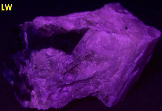 Pink SW LW fluorescing Agrellite, Eudialyte, Britholite-(Ce) crystals,Amphibole, Kipawa alkaline complex, Les Lacs-du-Temiscamingue, Temiscamingue RCM, Abitibi-Temiscamingue, Quebec, Canada