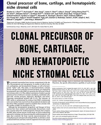 Clonal precursor of bone, cartilage, and hematopoietic niche stromal cells