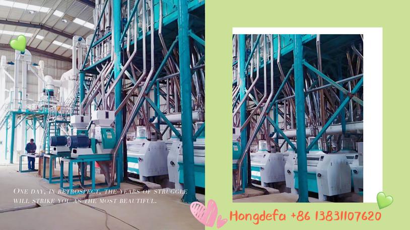 240t maize milling machine in Angola