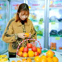 Giỏ hoa quả nhập khẩu 1,2 triệu đồng