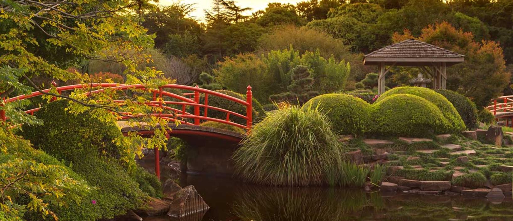 Drip Irrigation System,Asian Garden Designer NYC,newyorkplantings,dripirrigationnyc,landscape irrigation systems,irrigation company NYC,drip watering system installers,brooklyn irrigation company,manhattan irrigation systems