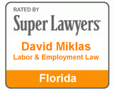 Law Office of David Miklas, P.A. - labor & employment lawyer in Florida