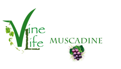 Vine Life Muscadine Grape Seeds & Skins Products
