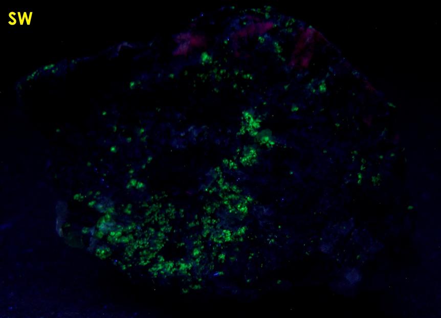 SW LW fluorescent SORENSENITE, AEGIRINE ACMITE - Kuannersuit plateau (Kvanefjeld), Ilimaussaq complex, Narsaq, Kujalleq, (Kitaa Province; West Greenland), Greenland, Denmark - Sørensenite type locality - ex Tom Pankratz