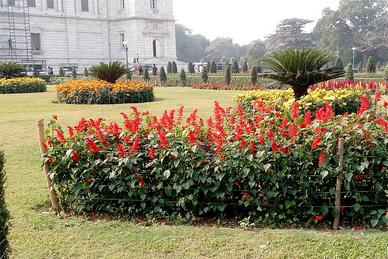 Victoria Memorial Kolkata Timing Entry Charges Fees What To See