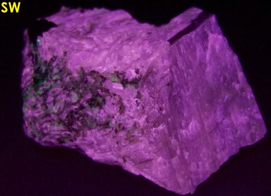 Pink SW LW fluorescing Agrellite, Eudialyte, Britholite-(Ce) crystals,Amphibole, Kipawa alkaline complex, Les Lacs-du-Temiscamingue, Temiscamingue RCM, Abitibi-Temiscamingue, Quebec, Canada