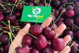 Hoa quả nhập khẩu Hà Nội