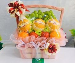 Giỏ hoa quả nhập khẩu biếu tặng tết