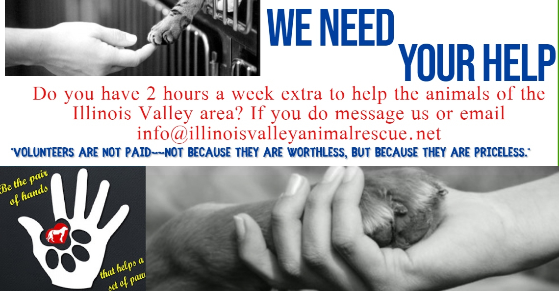 Illinois Valley Animal Rescue In Lasalle Il