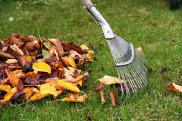 Fall Cleaning Service and Cost Omaha NE | Price Cleaning Services Omaha