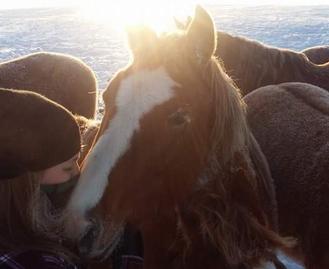 Horse deworming