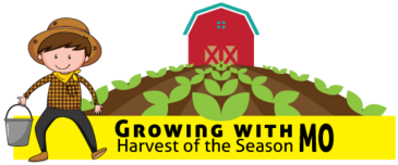 Our Children's Garden