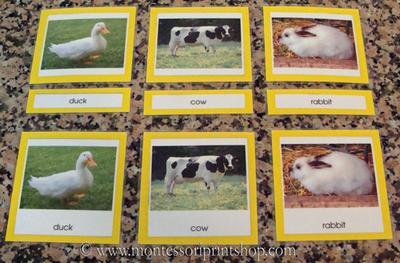 prepared montessori 3-part classified cards - montessori print shop