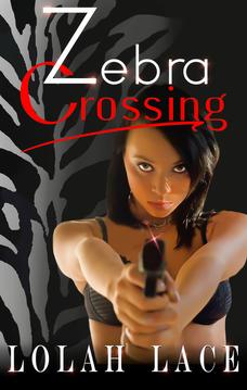 vacation romance novel, bwwm novel, Ir romance, bwwm books