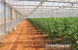 Greenhouse